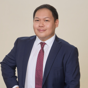 Freniel Mikko Austria, CPA, Certified Analytics Professional (CAP) (Chief Audit Executive at Citicore Group)